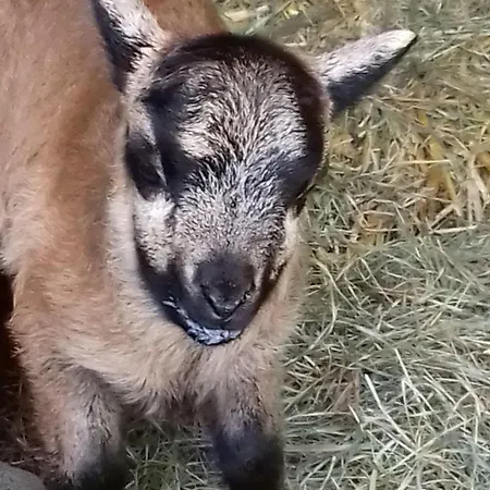 Muehlenhof-soderstorf-wohnung-f Appartement *