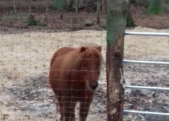 Muehlenhof-soderstorf-wohnung-f *
