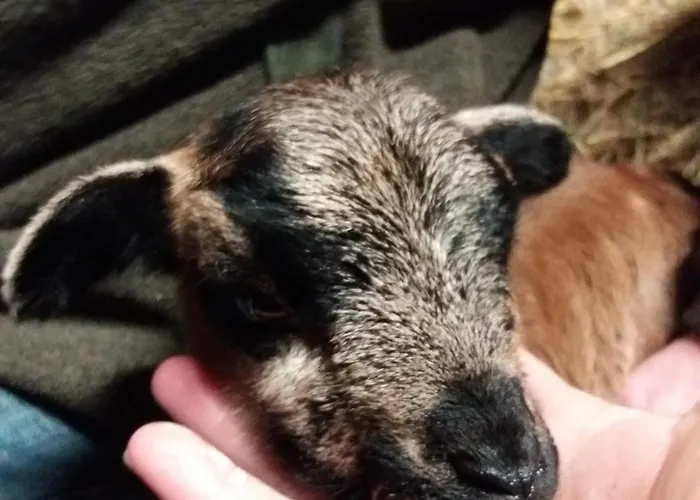 Appartement Muehlenhof-soderstorf-wohnung-f *